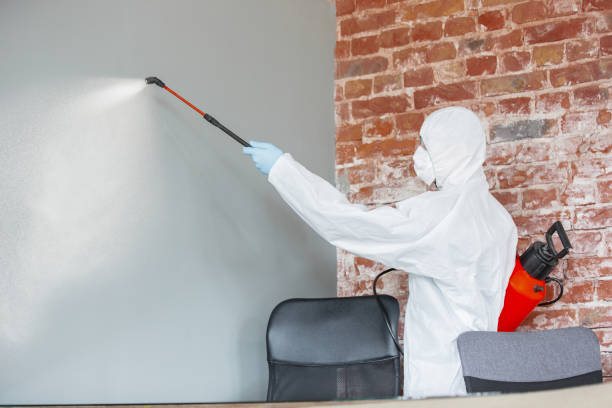 Best Real Estate Mold Inspection  in Welcome, NC