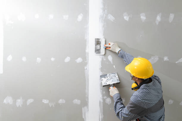 Best Mold Damage Restoration  in Welcome, NC