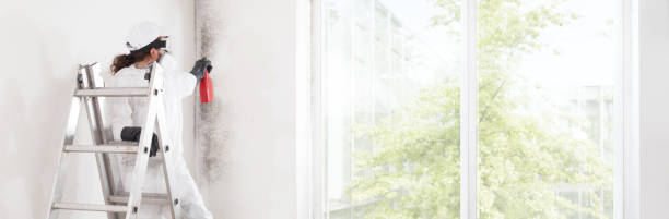 Best Mold Remediation for Healthcare Facilities  in Welcome, NC